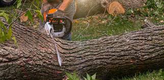 Best Artificial Turf Installation  in Edna, TX